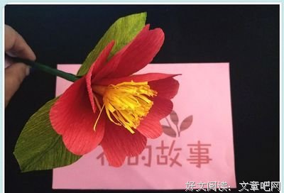 关于杜宇的格言