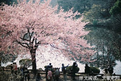15条关于不言不语的经典语句