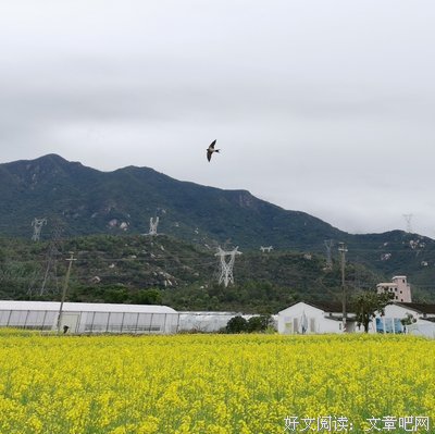 一模一样的名人名言