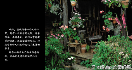 有关公平的美句摘抄