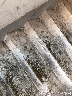 关于杂草丛生的格言