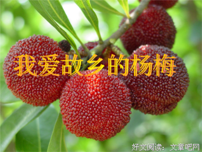 情若如丝的句子