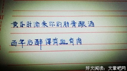 喜欢句子