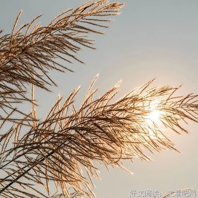 诗意