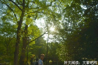 晨钟暮鼓，安风出若素句子
