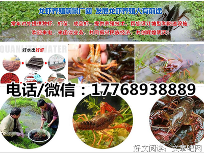 ​ 躺着的安逸：带来的是效益，还是自我放弃？