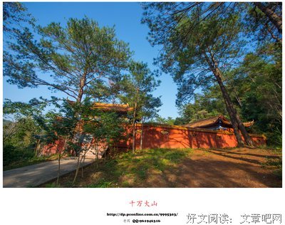 一边思考一边践行，人生便会乐趣无穷