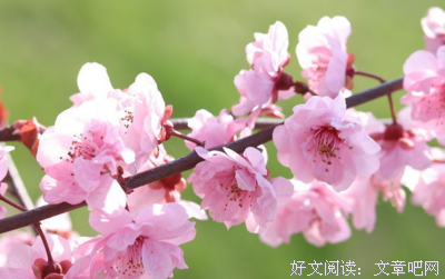 亲亲的语句摘抄_关于亲亲的语句