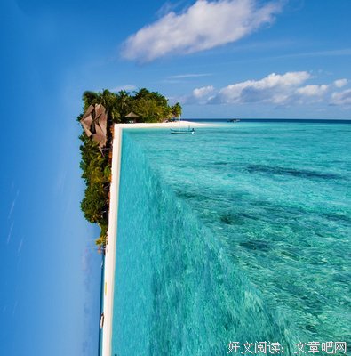关于马鸣的座右铭