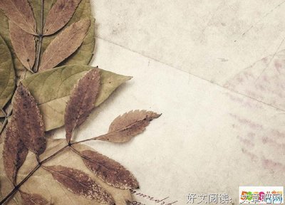 收集经典名句