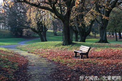 一花一是物在夫说将 一叶一如来经典的句子