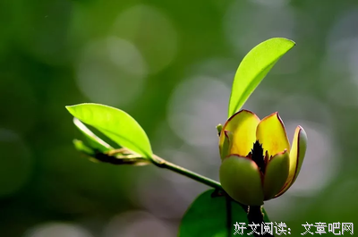 如彼游川鱼。名句欣赏