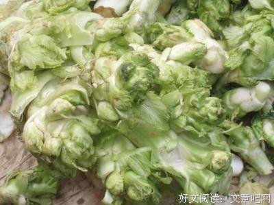 关于哲多心也里并就的句子