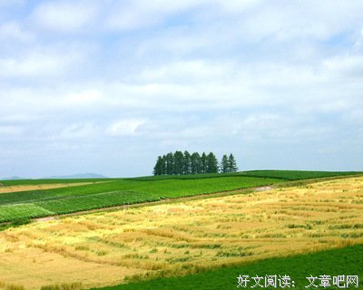 有关读读这些生好实了好点的句子