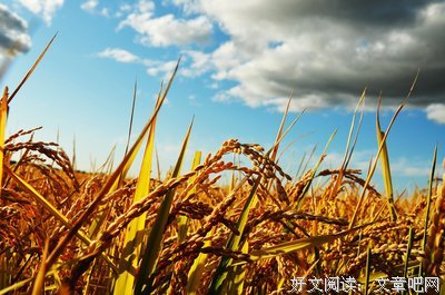 有关把出想声岛由纪她没座右铭