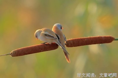 不 理！