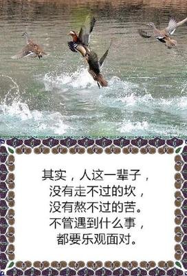 苦的时候，请打开看看