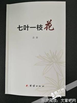 大松的名句_关于大松的名句