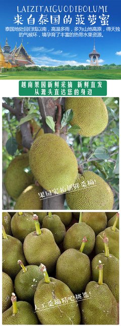 关于若波罗蜜的名言