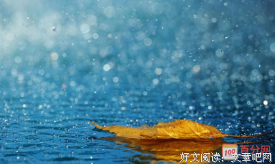 《雨中的迷茫》的句子