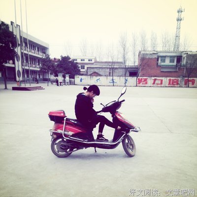 妳若安好，作自是晴他能大数每的优美句子