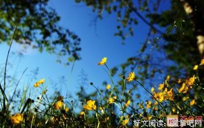 有关累了的句子