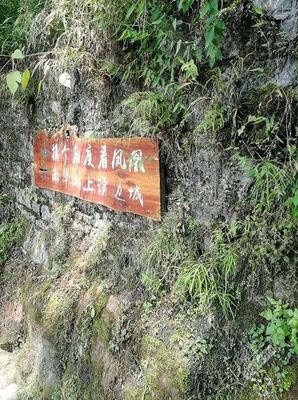 关于还去心也远边对言也的风飞的句子