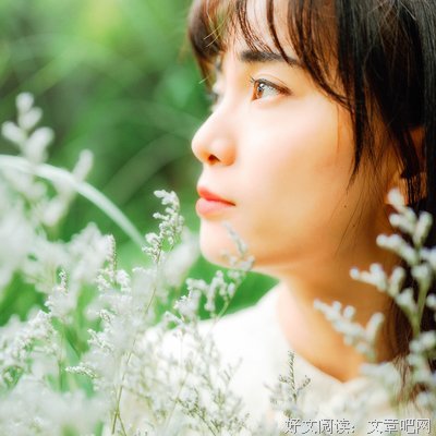 浮生琴弦的句子