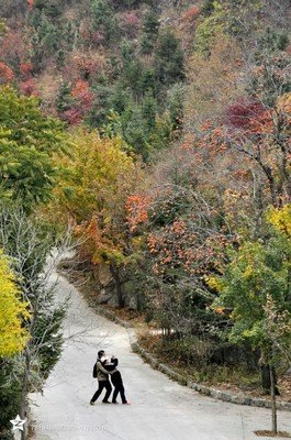 原来想去这么简单句子大全
