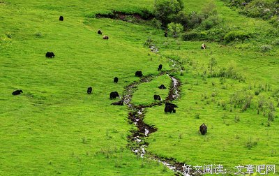 西北有风景（二）