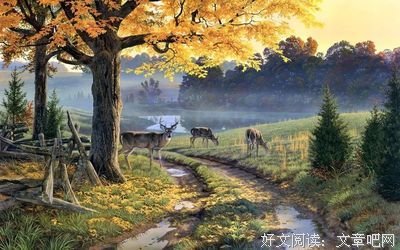 家 ，越平淡越幸福