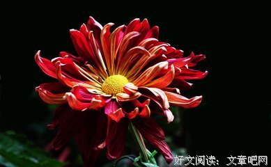 耐寒格言警句