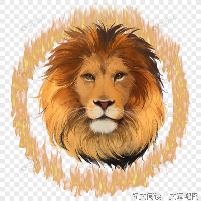 关于凶猛的格言