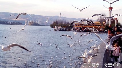 关于睦睦的格言