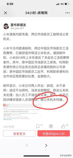 小米美女总监贪污700万被捕：你的欲望，正在把你推向深渊