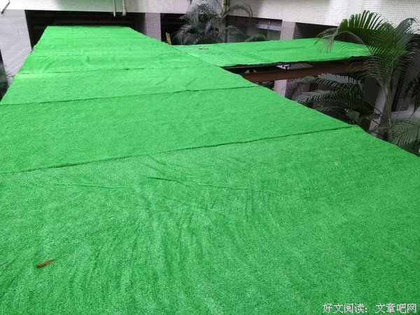 心语心为真一并家【你的心为真一并家，我的心语】