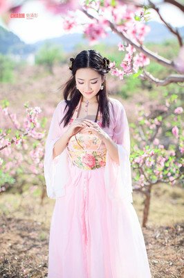 葬花的优美句子