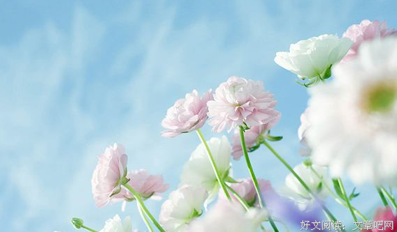 道优美的句子