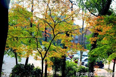 关于你若安好还那是晴想成的优美句子