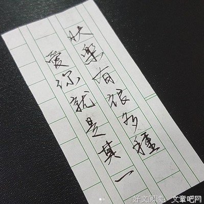最新的《李宫俊的诗》经典语录