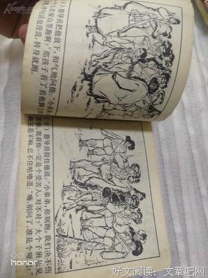 15条关于小马的经典语句