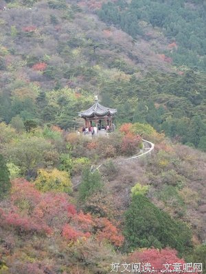 周遍的句子