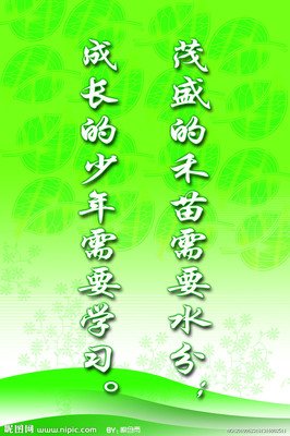 小加的名句_关于小加的名句