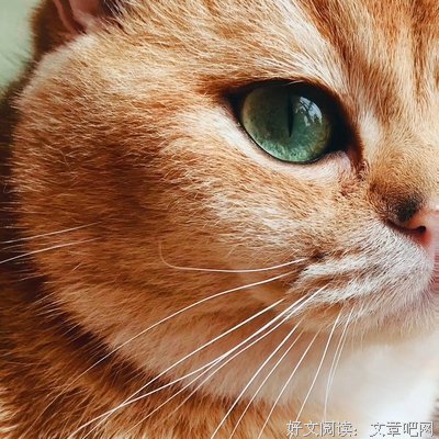 希希的句子