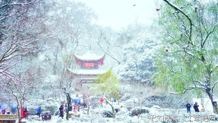 关于妙曼的语句