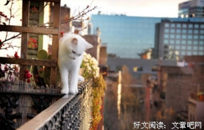 自私自利的名言_关于自私自利的名言