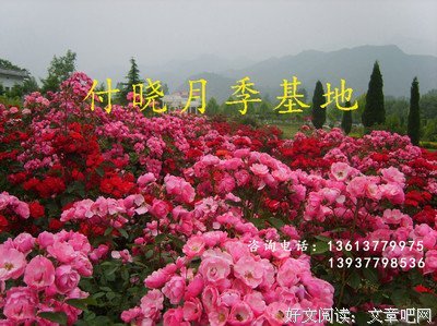 聆听 