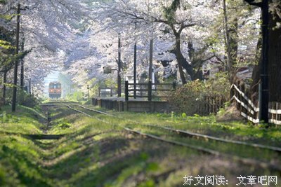 动漫优美的句子