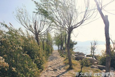 《腐朽的青春》的句子
