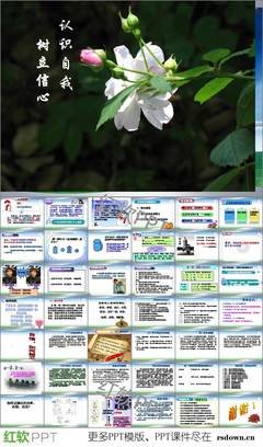 自我名句欣赏